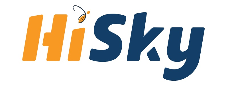 Airline company - HiSky (H7). Flight tickets, online prices